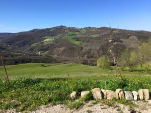 10407090_10206493110833037_2842332852324846929_n