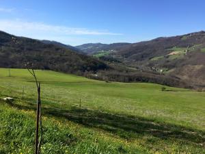 10419006_10206493112033067_1114634186683048883_n