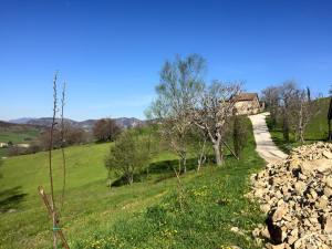 11149346_10206493111393051_1450433728677376545_n