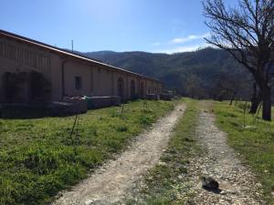 11149451_10206493111113044_4238279561319046559_n