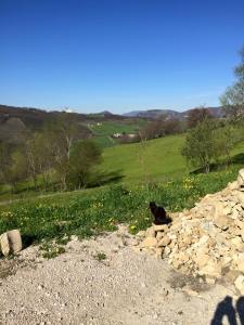 11150301_10206493110593031_2491865354057177033_n