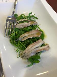 11228114_10206846690832316_6937213805954691173_n