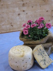 lama grande erborinato