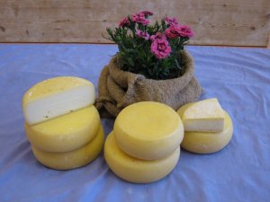 lama grande ginestrino